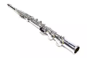 Silver Plated Flute Outfit